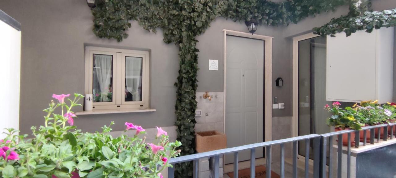 D'Annunzio Street Home Katanya Dış mekan fotoğraf